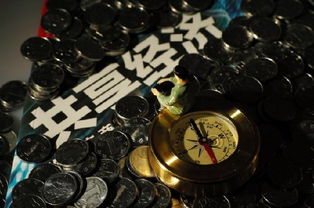 共享經(jīng)濟(jì) 賠錢賺吆喝背后的戰(zhàn)略布局與軟件開發(fā)新機(jī)遇